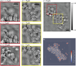 Self-calibrated 3D differential phase contrast microscopy with optimized illumination